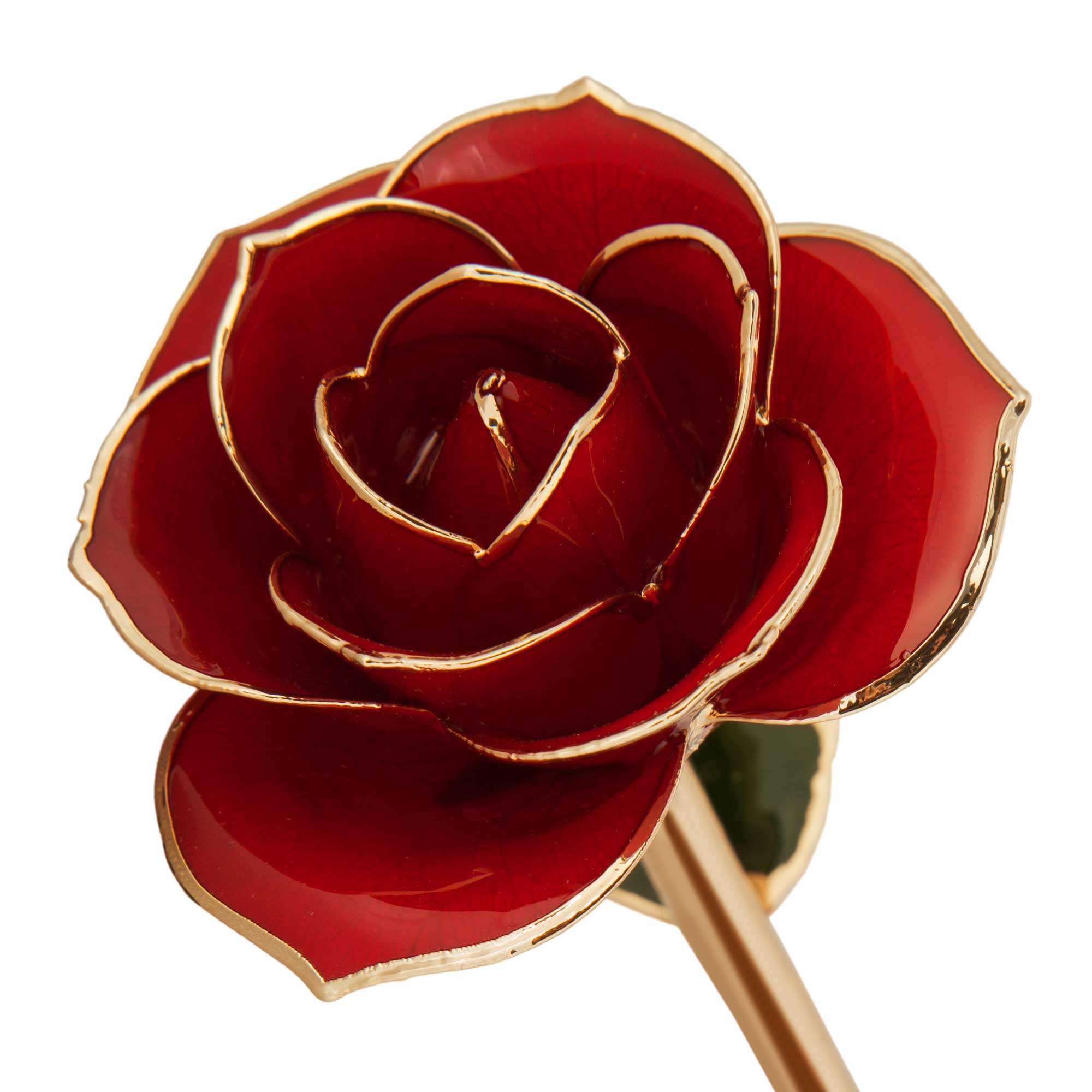 24K Gold Dipped Ravishing Red Rose